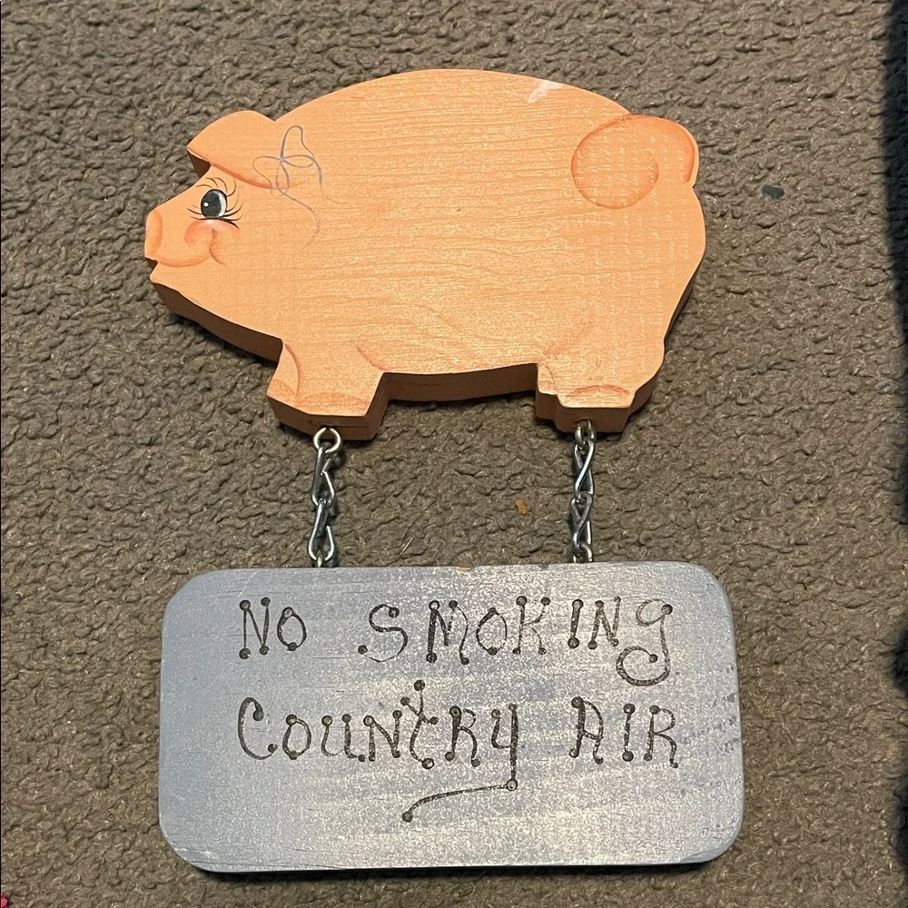 Country Air Orange Pig Wall Hook with Silver Sign